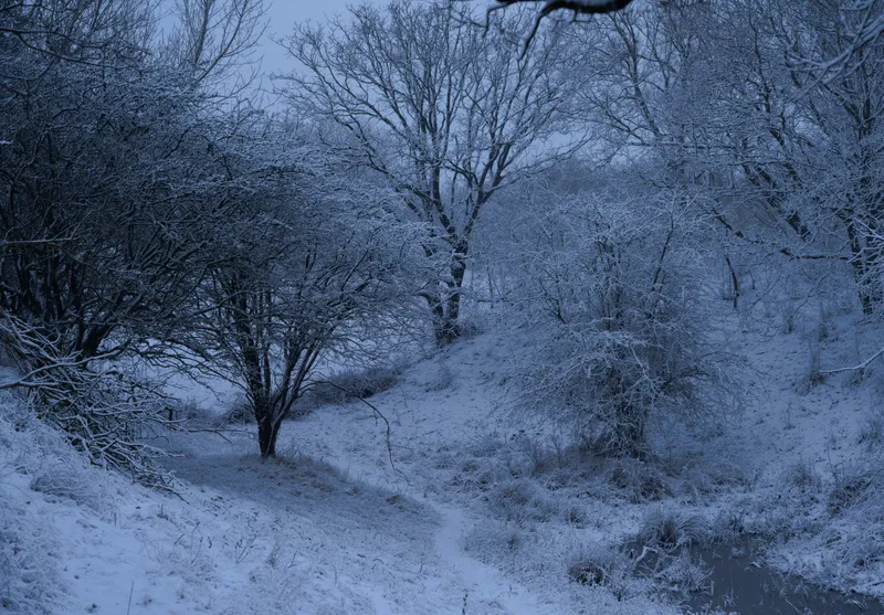 Photography, photo 10
