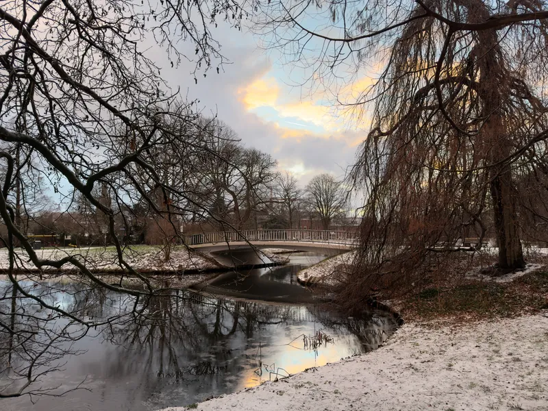 iPhone 17 Pro, photo 67