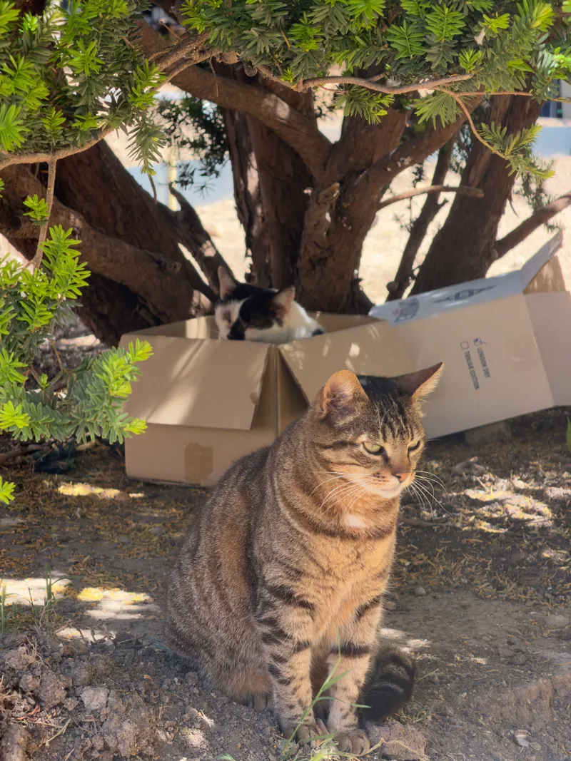 Croatia, photo 2