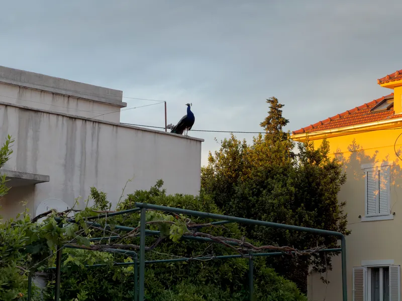 Croatia, photo 36