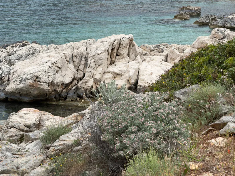 Croatia, photo 41