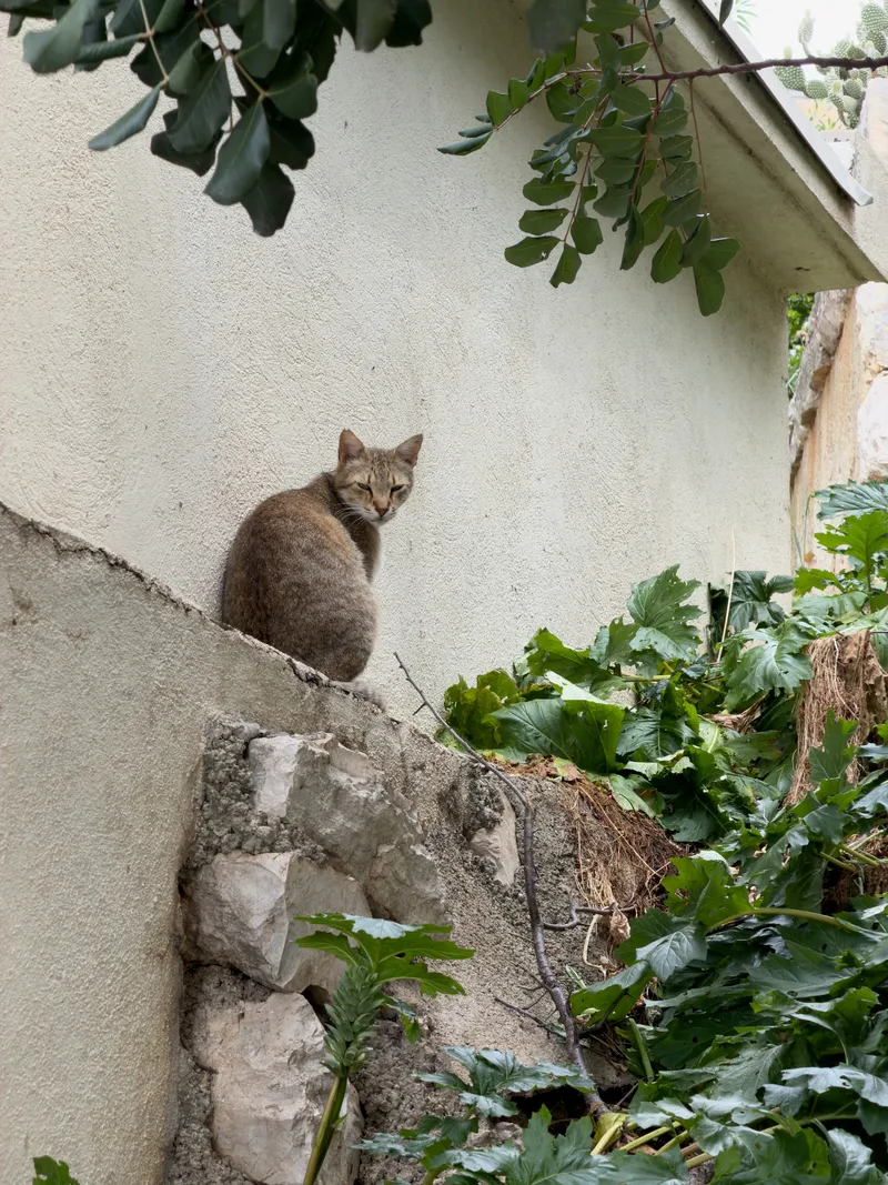 Croatia, photo 42