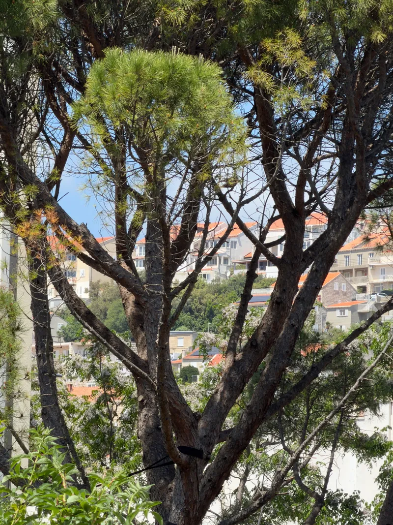 Croatia, photo 84