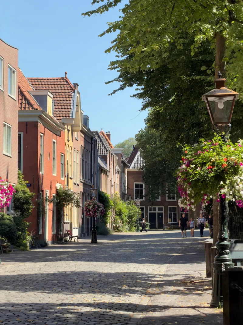 Summer in the Low Countries, photo 6