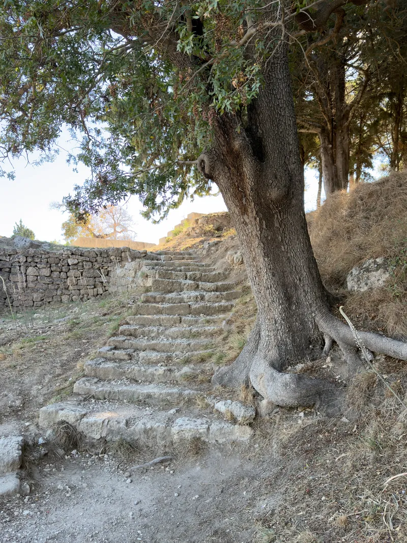 Rodos, photo 19